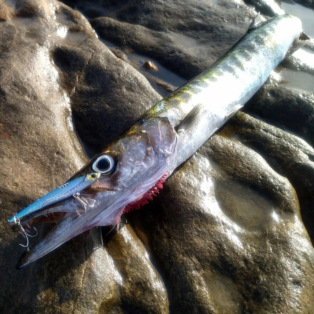 Рыболовная приманка GOBAIT VIB – обзор и цена Fishing Lure Blade Bait